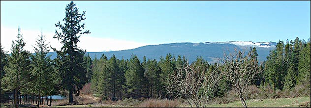 Valley Vista Acres